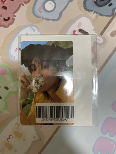 wvs特典八 未拆含貼紙🩵