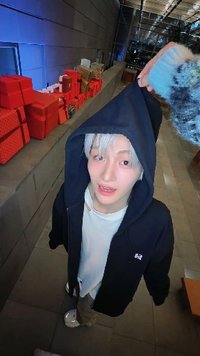 小丑魚（1/23-2/23暫停出貨）