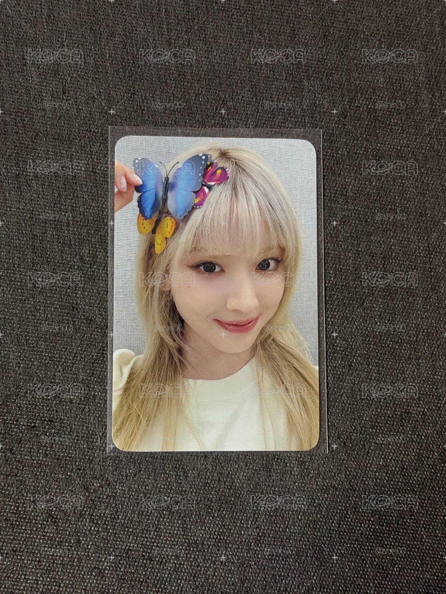 蝴蝶友🦋