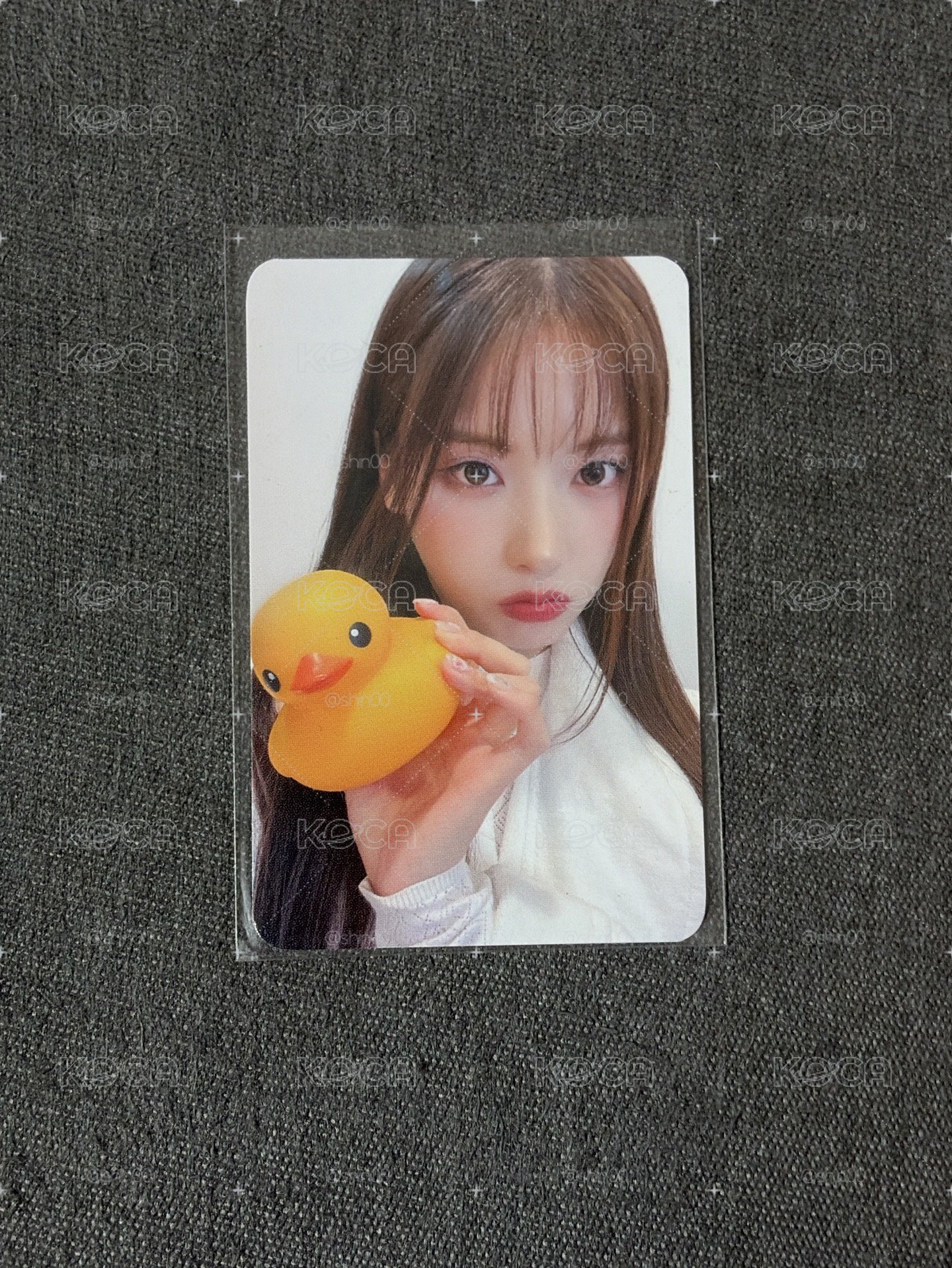鴨子友🦆
