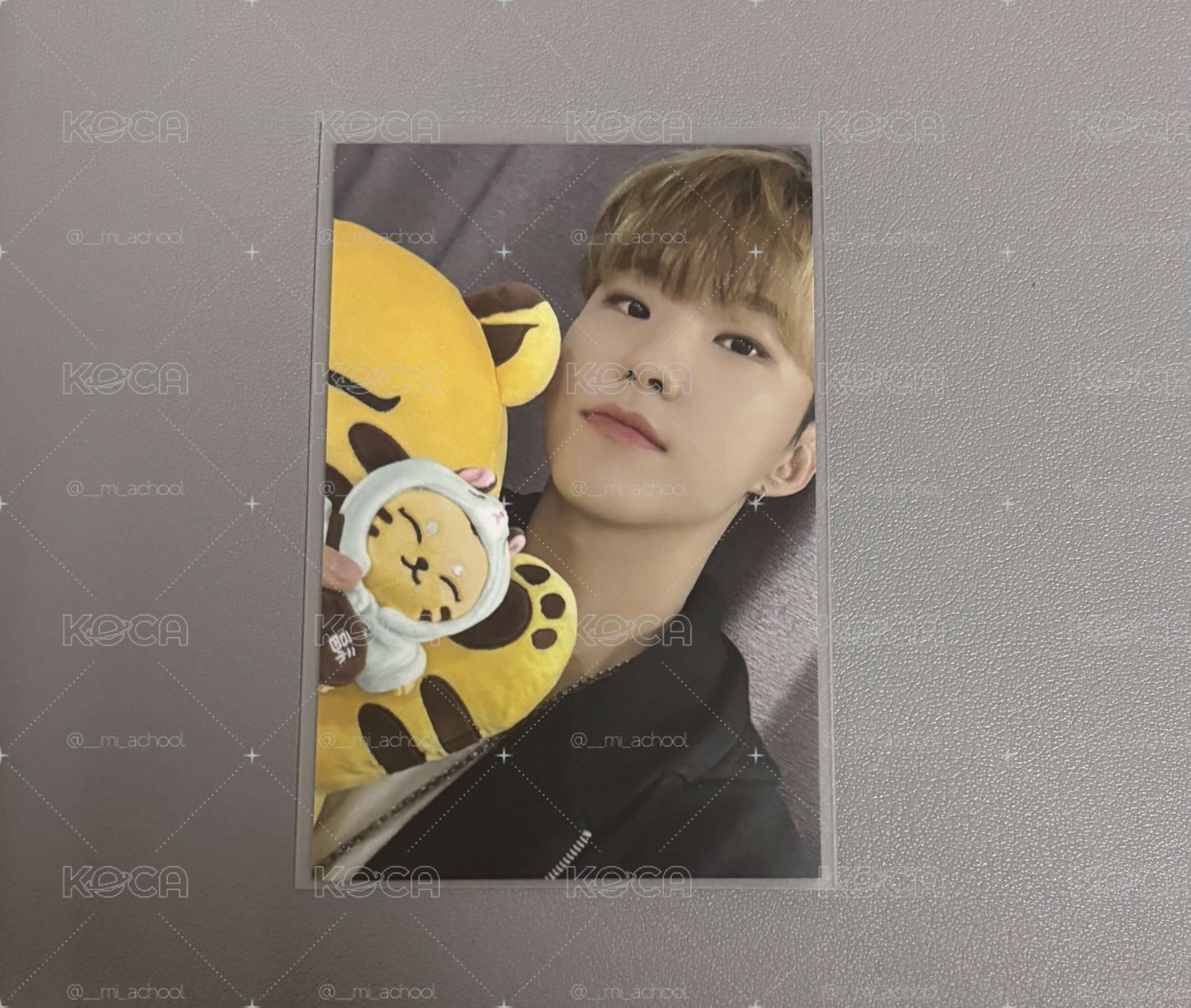 SEVENTEEN Hoshi 成員自製周邊小耽耽小卡