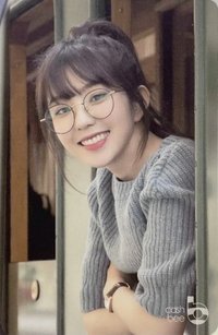 瑞士系列 交通卡 瑞士姐