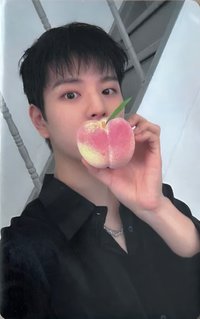 DICON N°21 B版 雜誌卡 