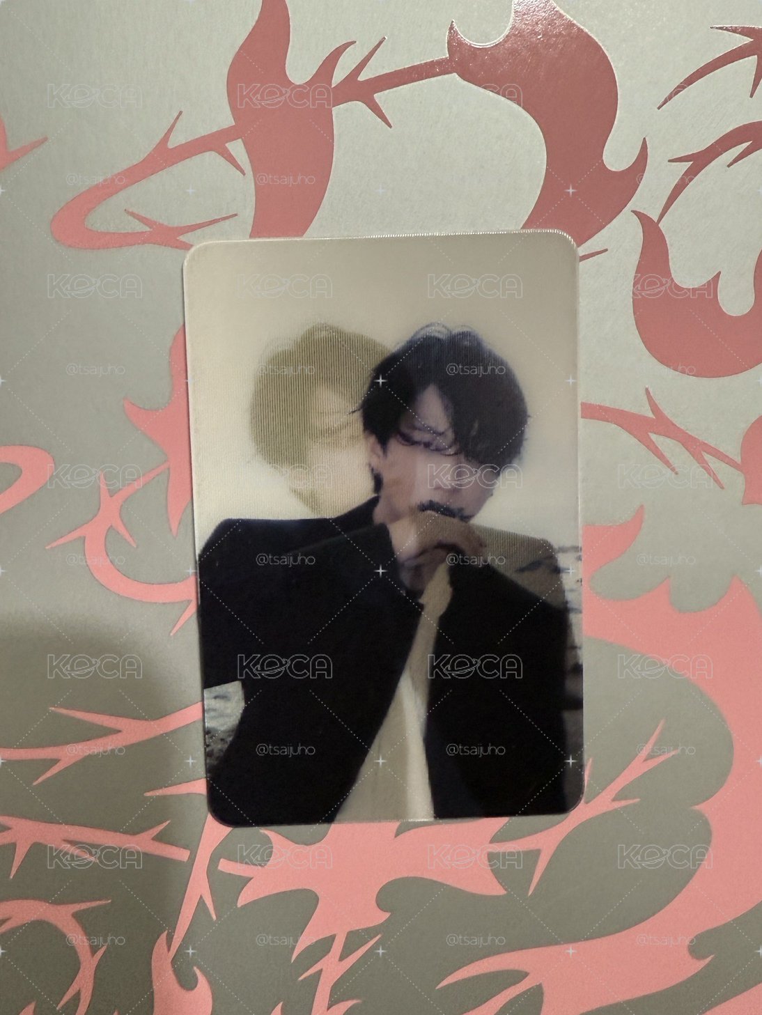 stray kids 彰彬