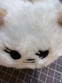 i_annn