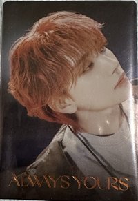 萬代聯名 周邊卡 威化餅乾卡