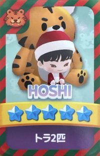 puzzle SVT 遊戲卡 聖誕卡