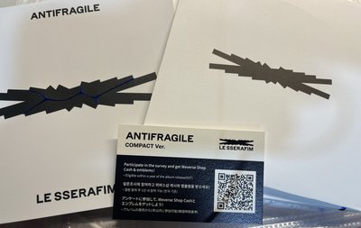 Lesserfim中村一葉版空專