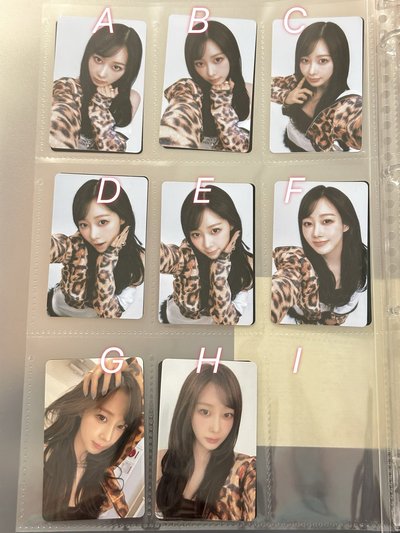 養隻豹貓取名叫博美