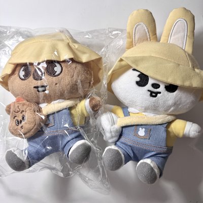 ⋆˚ STRAYKIDS ˖° —— 日周幼兒園娃旻城