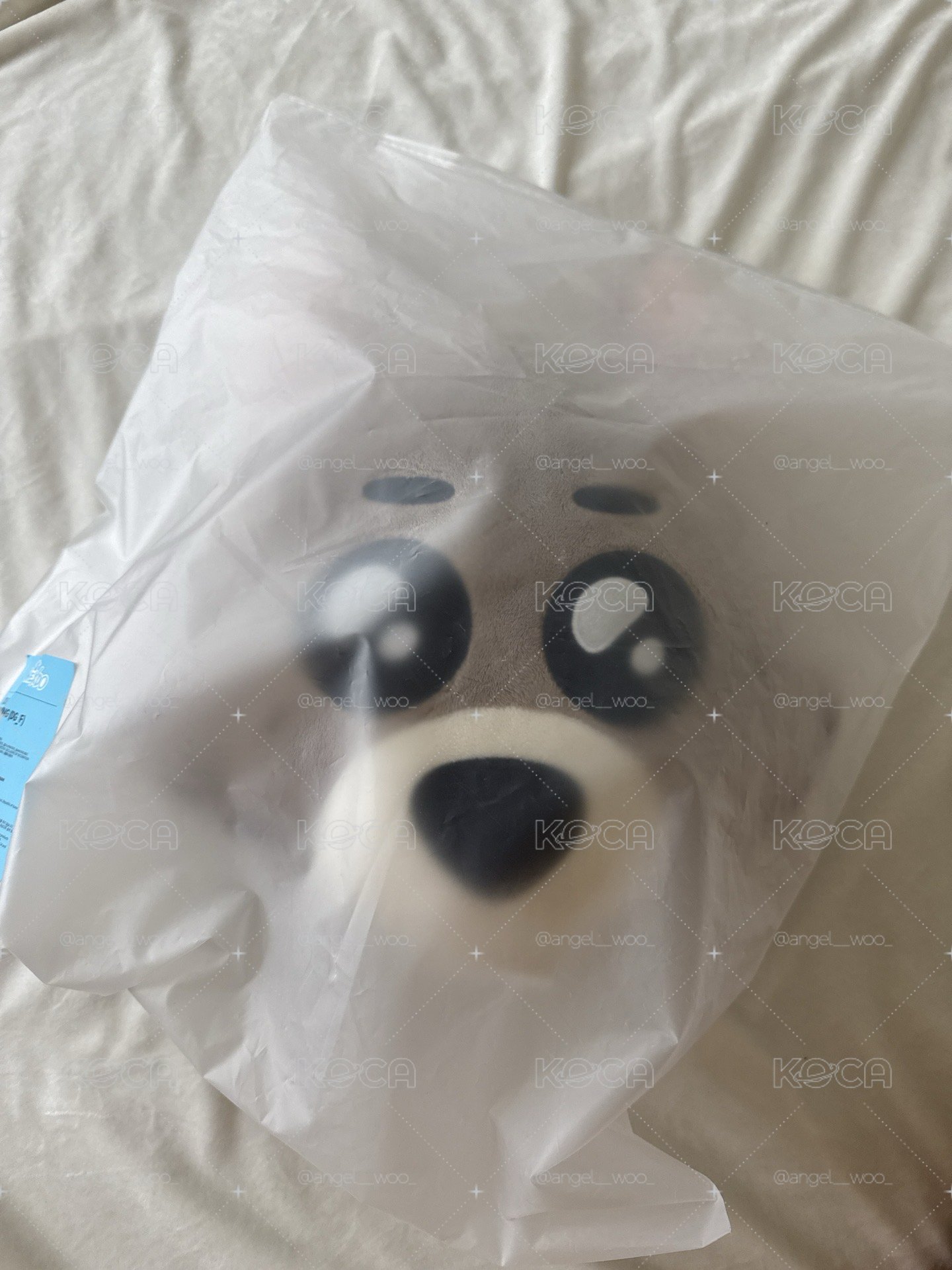 BBNEXDO 抱枕 宰鉉
