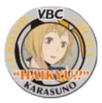 排球少年VBC 徽章 