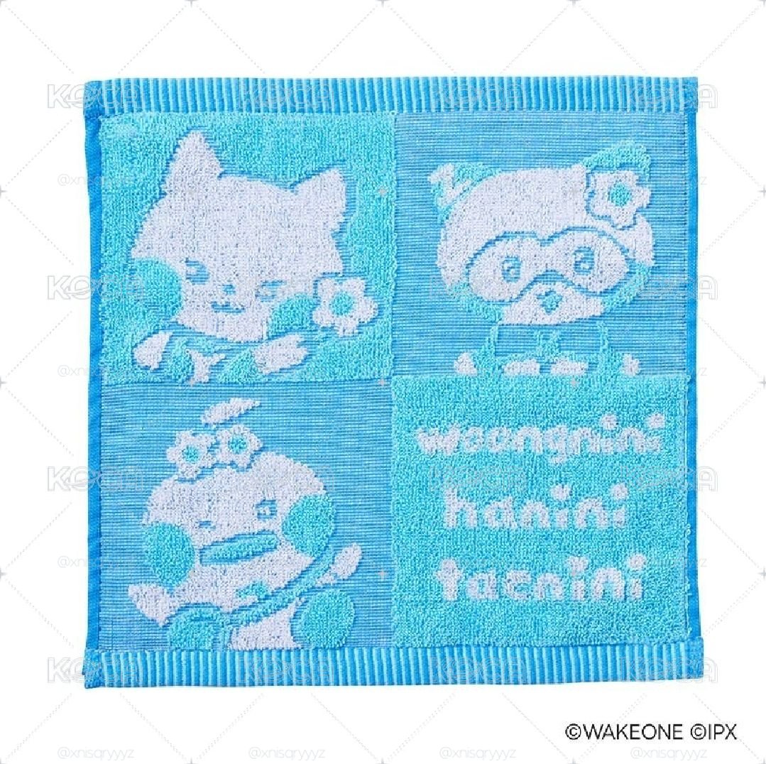 一番賞 昊雄來毛巾
