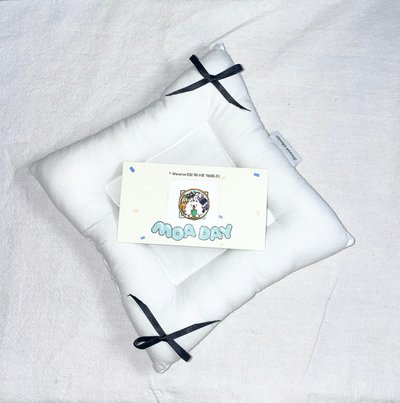 ⚪️25’巡迴 入場卡 / 場限卡 moa day未掃（需帶一張/一個 ⚪️標記的小卡/週邊商品）