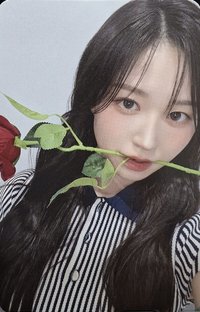 expérgo ms 6.0 簽售卡 玫瑰
