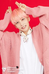 囧哈尼（下單小卡送小卡）