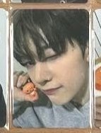 D6 Zeroni滿額修（上次的）