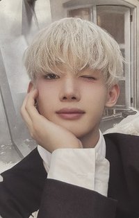 BTL 專輯卡 Mini CD-R ver