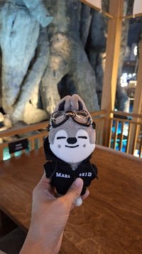 買完追星運爆棚