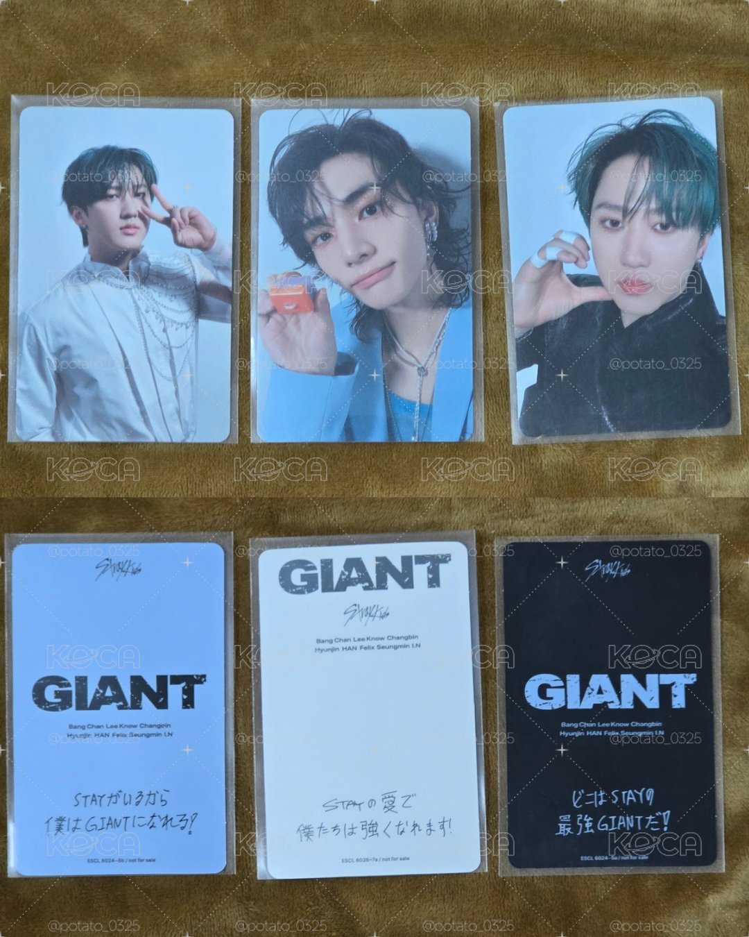 GAINT 專卡