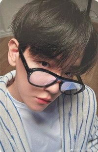 bolo4 專輯卡 Pineapple ver.