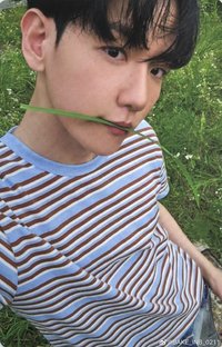 bolo4 專輯卡 WORLD VER