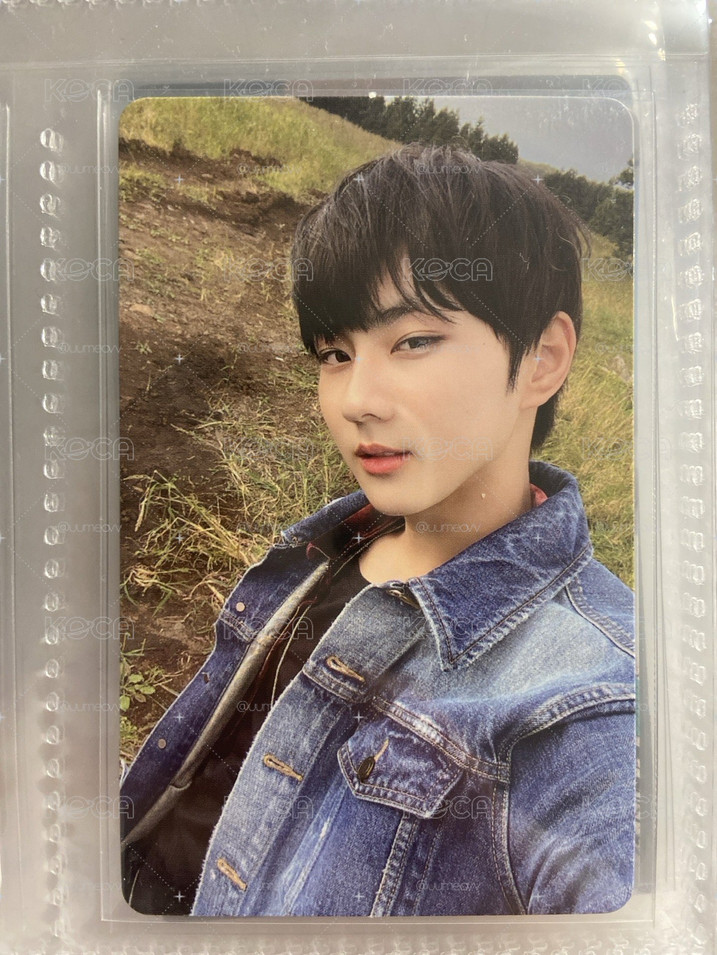 enhypen jungwon 梁禎元