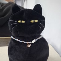 黑貓老闆一直亂買東西要剁爪爪