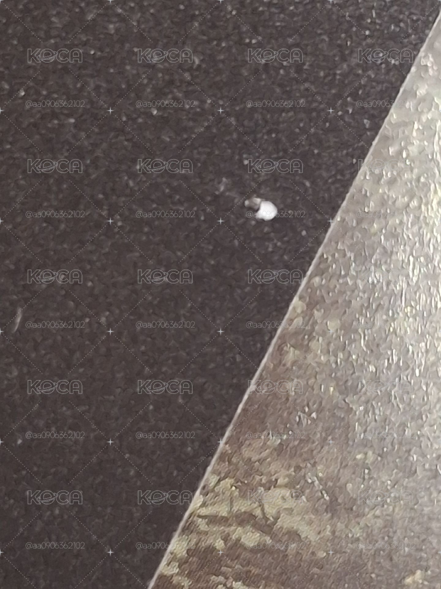 二巡隨機卡 吉