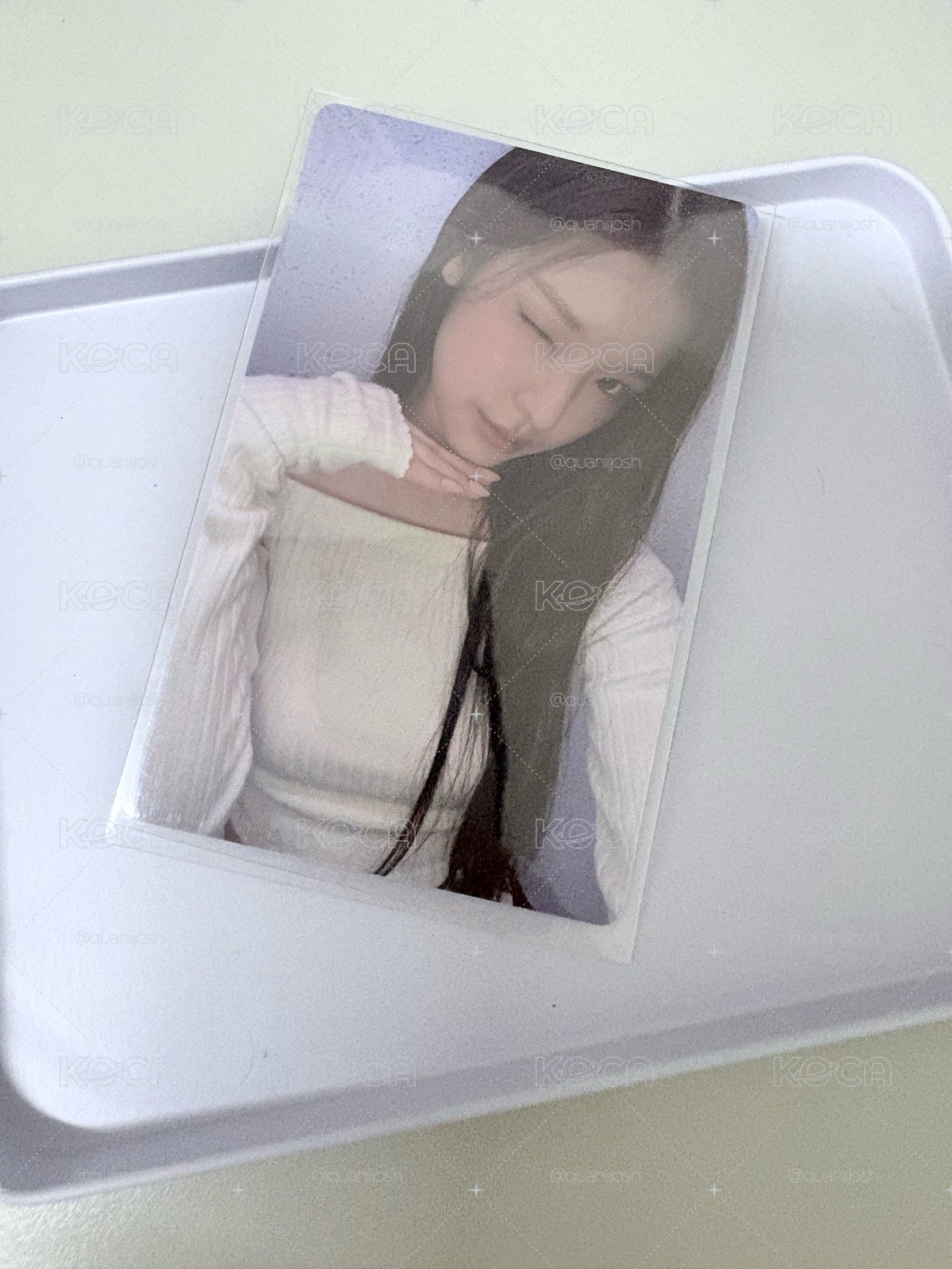 Mai 迷一Plus Chat特典卡