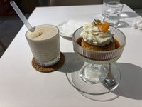 俊尼是貓貓
