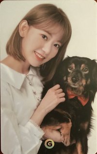 Gmarket 聯名 代言卡 新G櫻