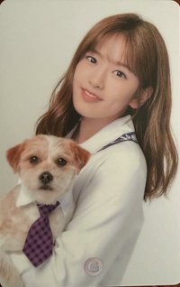 Gmarket 聯名 代言卡 新G安 狗狗安