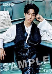 THE SOUND 索尼 海報 