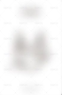 TNVS ms 台北 特別活動 簽售卡 貼紙 背面