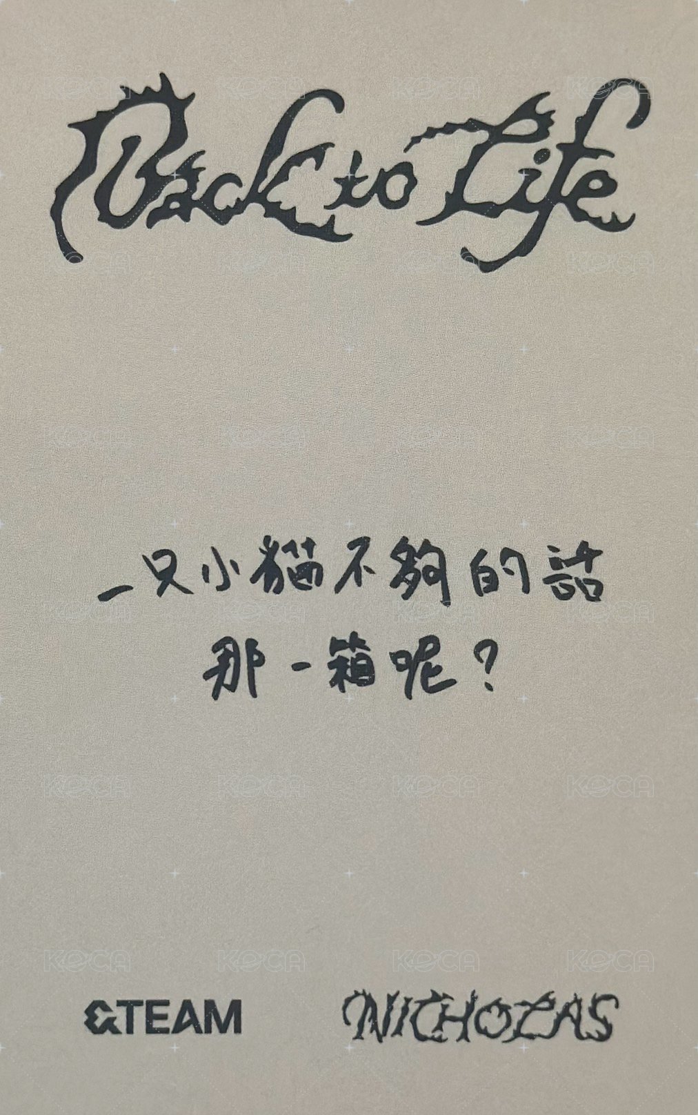 BTL yzy 預售 特典卡 中文卡背 背面