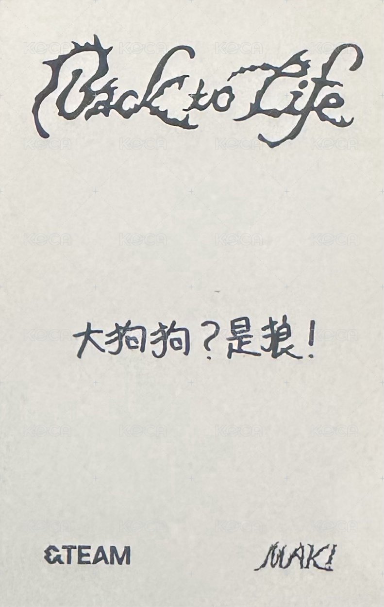 BTL yzy 預售 POB card 中文卡背 Back