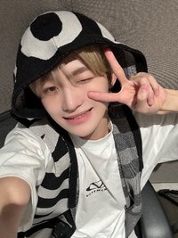 雞肉飯糰