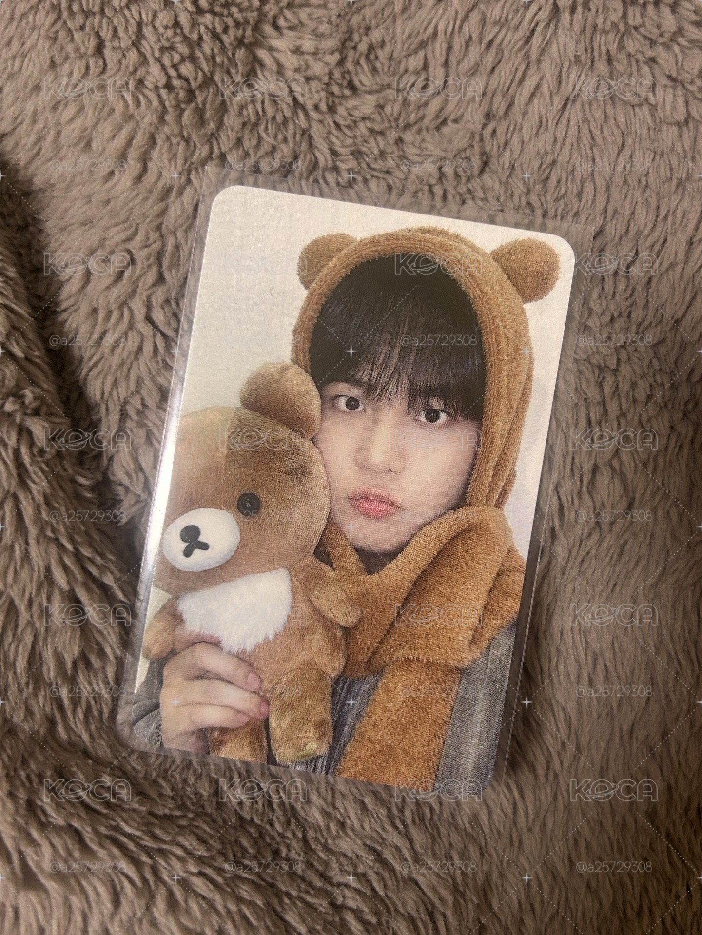 HL 2.0 蜜茶熊🍯🐻