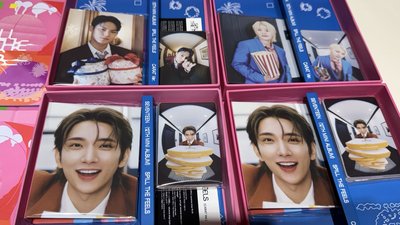 🤍哲秀 迷12克拉盤 空專