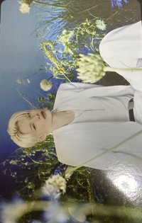 WTL FINAL wvs 隨機卡 力02/08 官拍卡