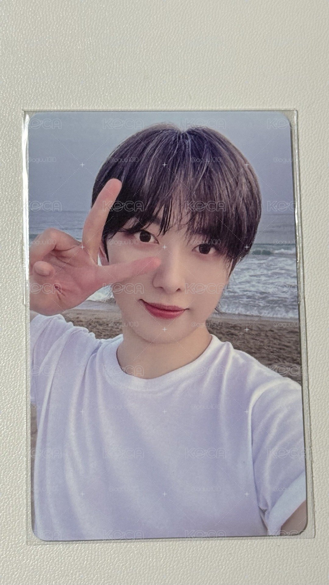 fuma 青嵐