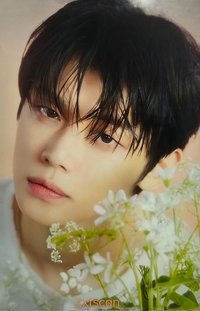 25’巡迴 日巡 周邊卡 項鍊卡