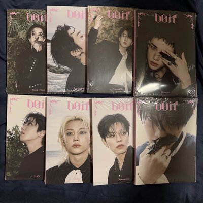 Stray kids Do it 單封 已拆 全專 ACCORDION VER 成員單封