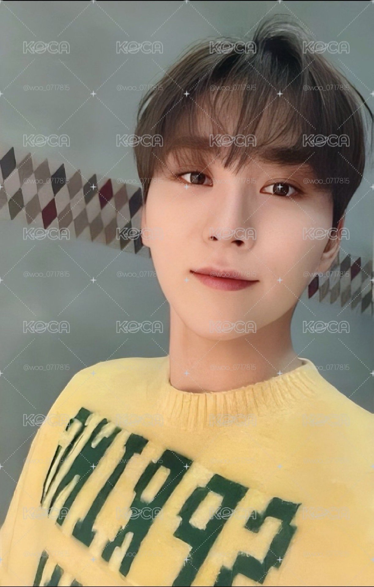 POL 專輯卡 CARAT ver. 