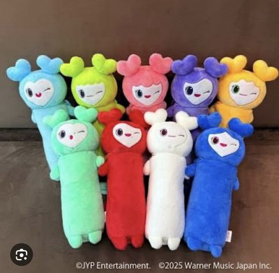 Tzuyu x TWICE GIGO限定水壺包