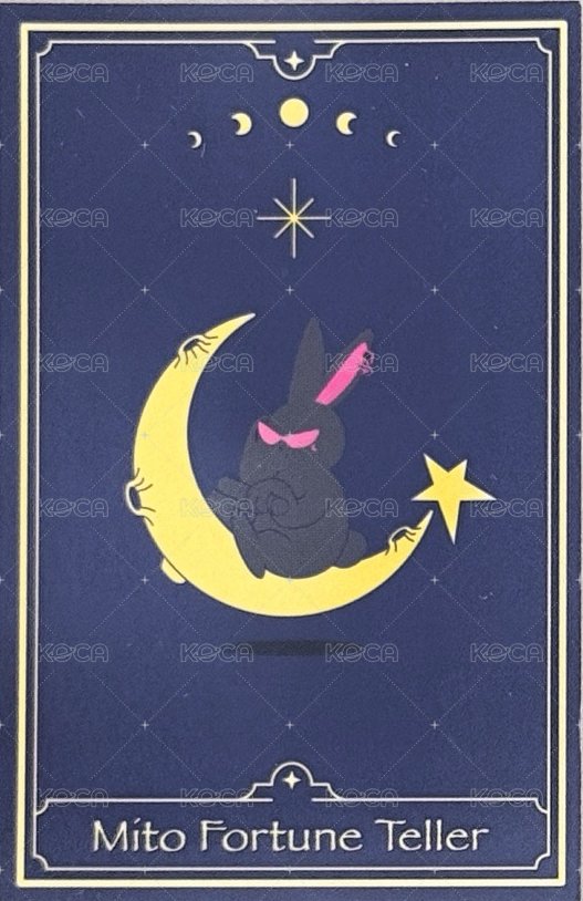 WILL 快閃店 sw 幸運卡  背面