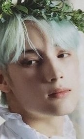 MINI DICON 周邊卡 