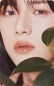 MINI DICON 周邊卡 