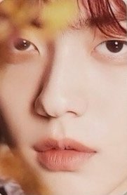 MINI DICON 周邊卡 